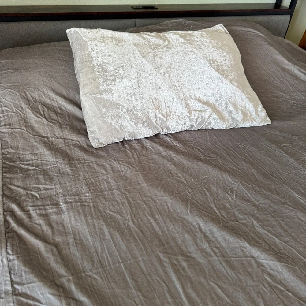 West Elm Duvet Cover Set Full Queen Silver Crushed Velvet Shimmer 1 pillow sham